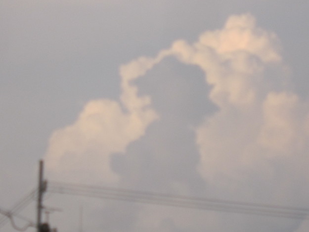b0174913_6523246.jpg