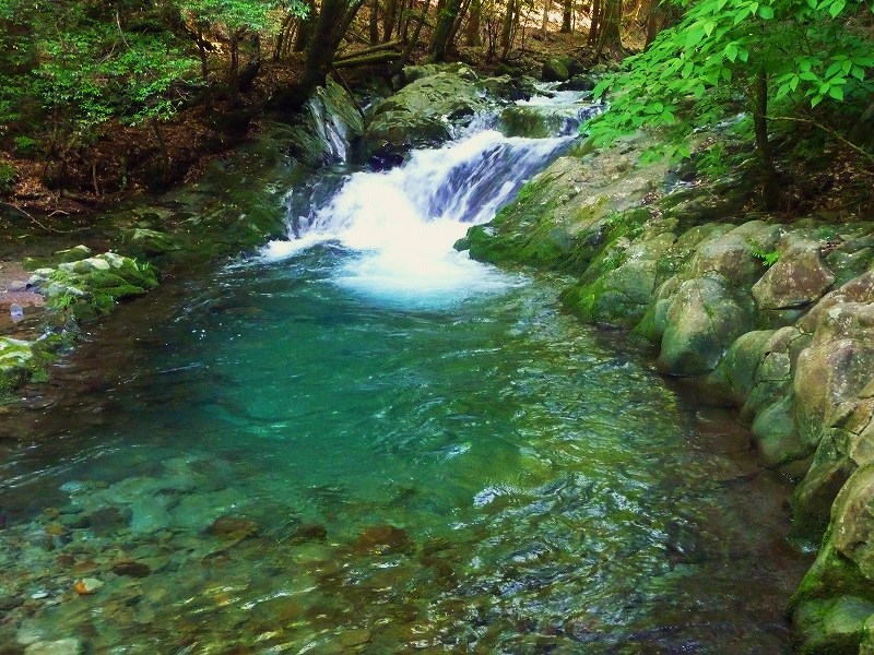 f0182513_2350331.jpg