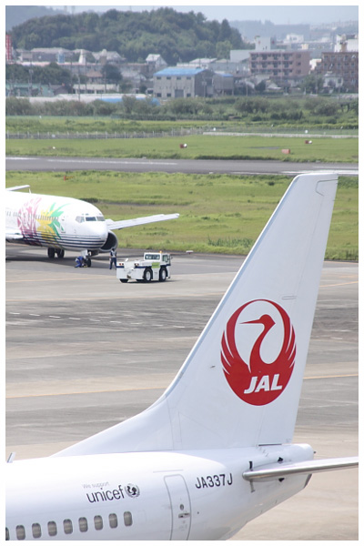 New JAL_c0217714_216555.jpg