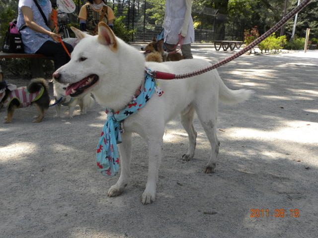 b0203018_17133542.jpg