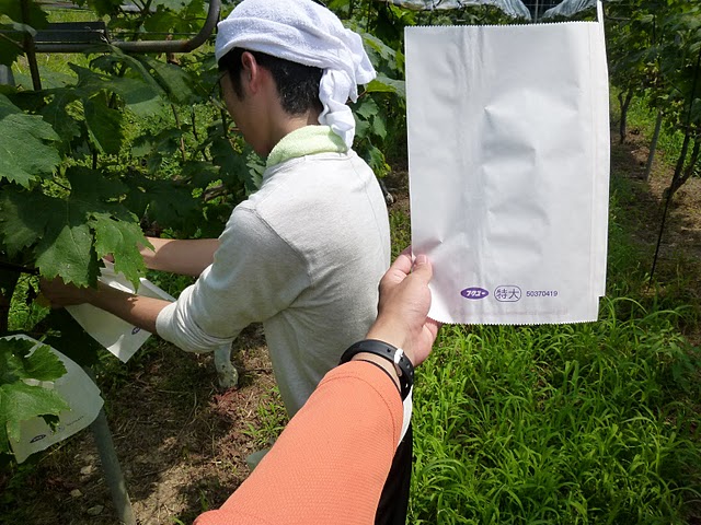 f0142721_23105391.jpg