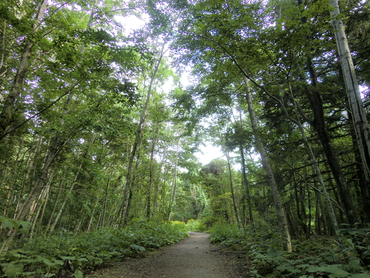 c0227522_22513817.jpg