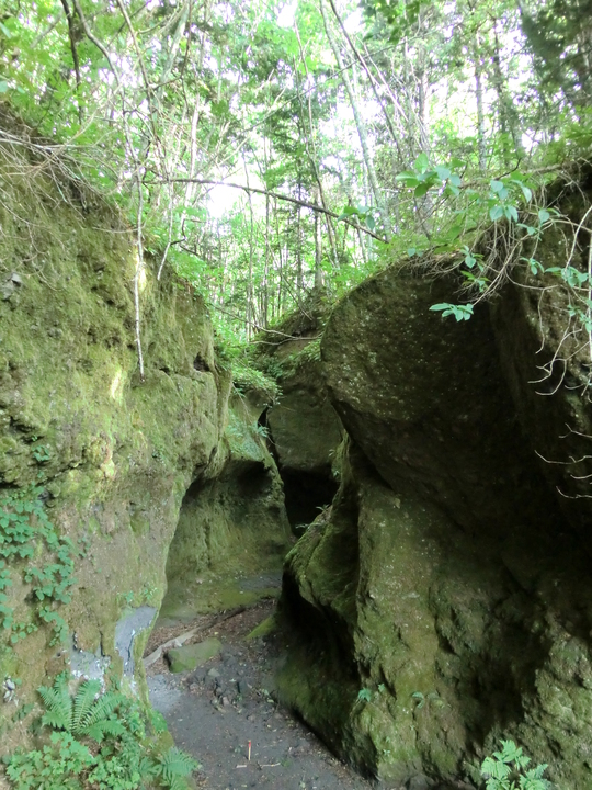 c0227522_22583416.jpg