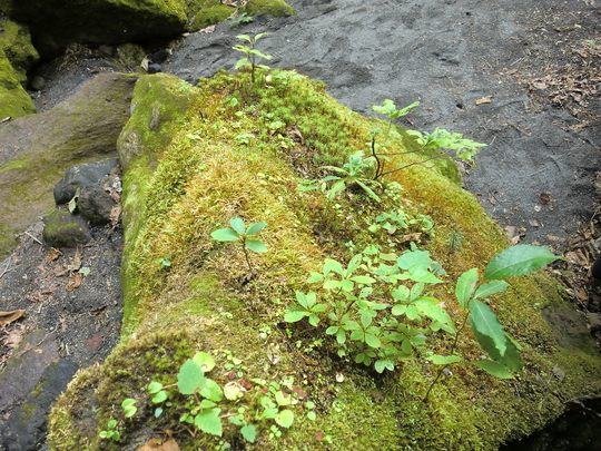 c0227522_23217.jpg