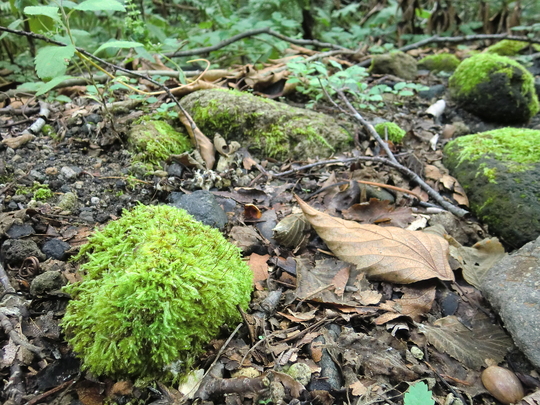c0227522_2323482.jpg