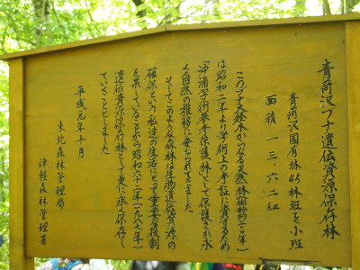 b0147224_12102690.jpg
