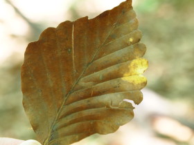b0147224_12241640.jpg