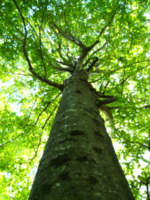 b0147224_12332963.jpg