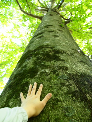 b0147224_12335310.jpg