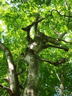 b0147224_12353868.jpg