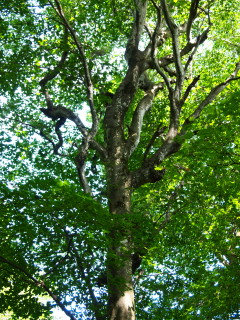 b0147224_1236190.jpg