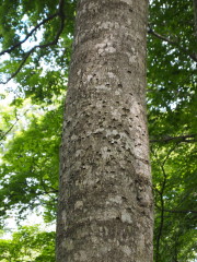 b0147224_124028.jpg