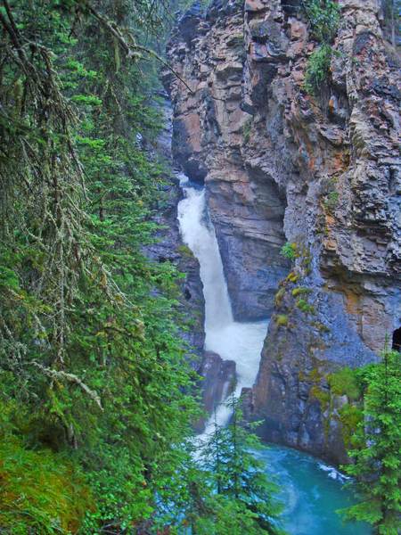 Johnston Canyon & Sunshine Meadows (Aug 15, 2011)_d0112928_4315196.jpg