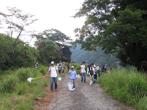 f0177529_742753.jpg