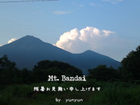 ウッドデッキリメイク~♪_f0023333_220202.jpg
