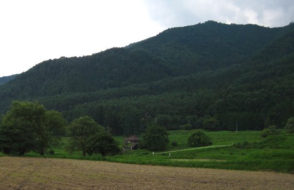 b0149340_10463674.jpg