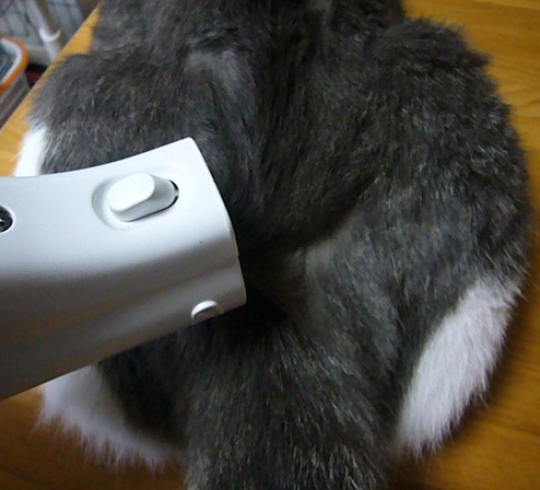マイブーム?_f0002743_19383576.jpg