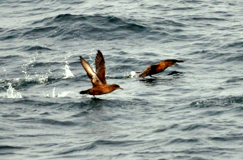 b0165760_21362639.jpg