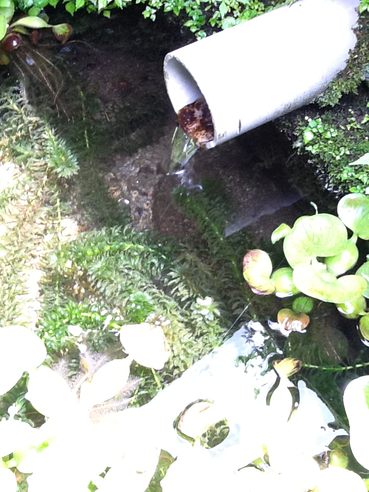 c0223065_0103977.jpg