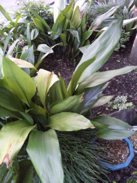 c0223065_082652.jpg