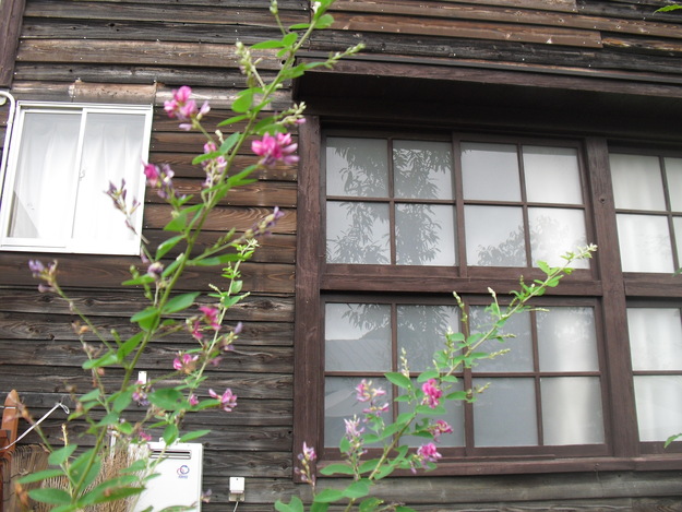c0011169_23423329.jpg