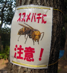 『吉見百穴』_e0033570_20435114.jpg