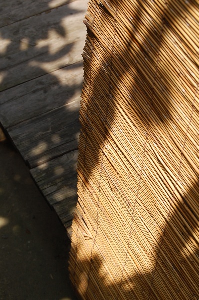 b0143983_7431494.jpg
