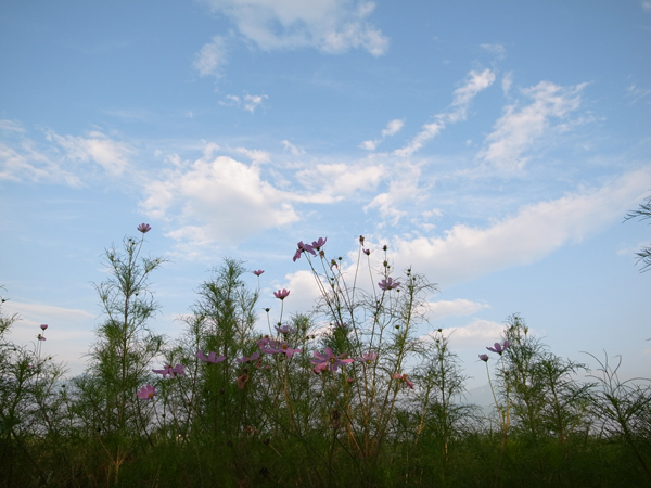 b0078188_21514380.jpg