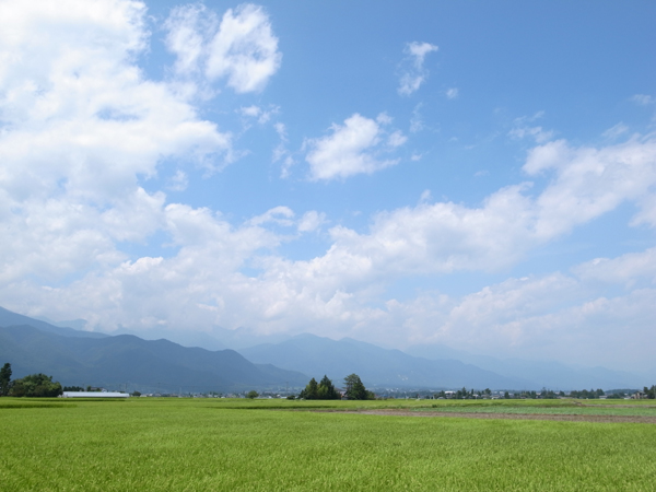 b0078188_21514934.jpg