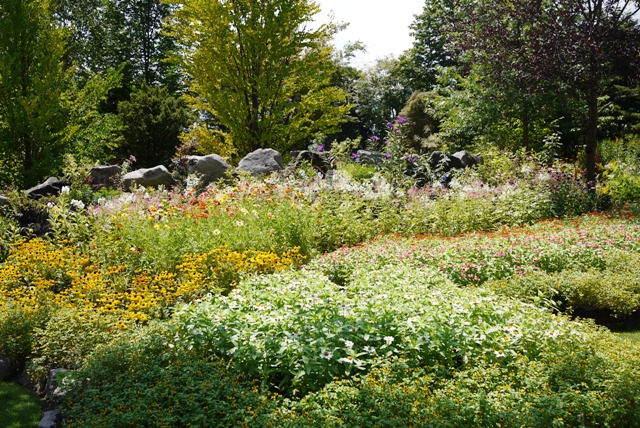 La CASTA Natural Healing Garden_a0127090_2335312.jpg