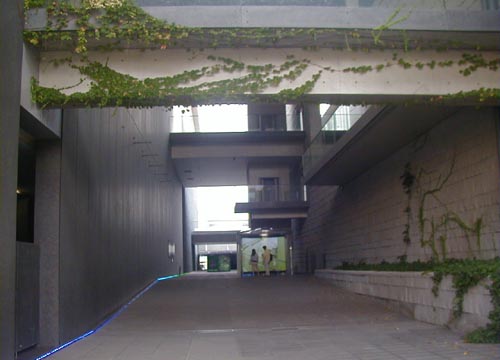 ●にぎにぎもさもさ_d0053294_17372181.jpg