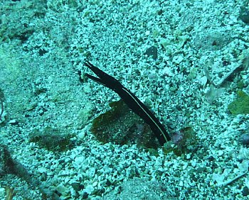 f0079996_16102340.jpg