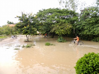 b0229505_22185569.jpg
