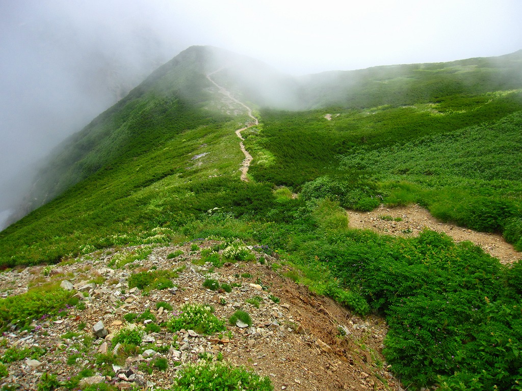 蓮華温泉～小蓮華山～白馬岳～雪倉岳～朝日岳～蓮華温泉　周遊　　二日目　23.08.13～15　_b0124306_2373855.jpg