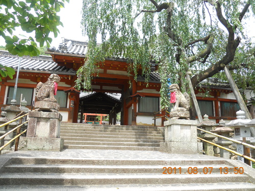 奈良1 (8月) 薬師寺―唐招提寺―志津香―氷室神社_a0194908_1345184.jpg