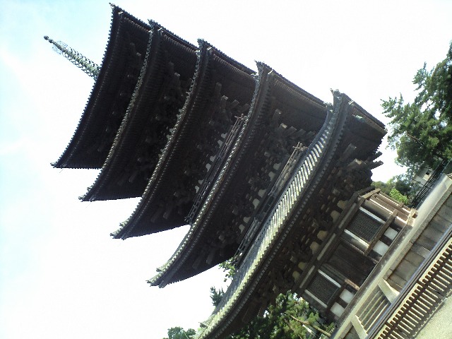 奈良2(8月)と 政治に関する個人的ひとりごと1 新薬師寺-天平庵―仏像館―興福寺―燈火会_a0194908_1581495.jpg