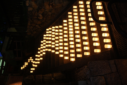 奈良2(8月)と 政治に関する個人的ひとりごと1 新薬師寺-天平庵―仏像館―興福寺―燈火会_a0194908_231262.jpg