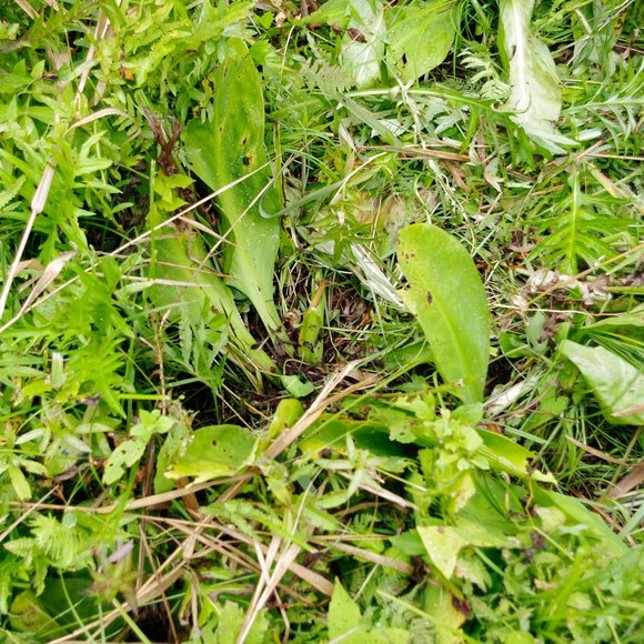 e0142611_15241877.jpg