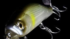 deps SキラーJr.145 ライズアップ145&スパイラルミノー_a0153216_22315695.jpg