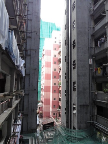 b0080418_944786.jpg