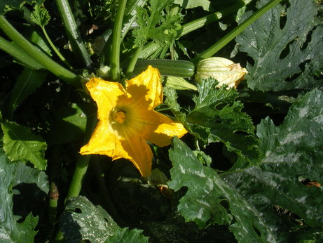 c0124619_620876.jpg