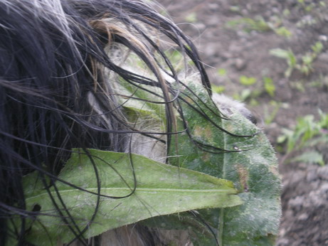 c0124619_621526.jpg