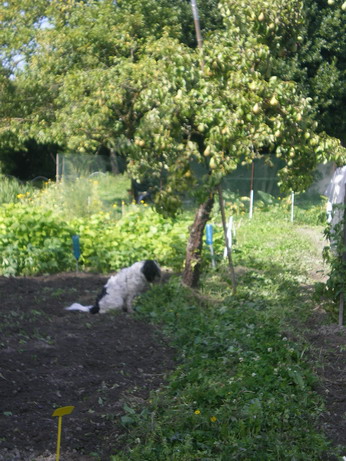 c0124619_6281498.jpg
