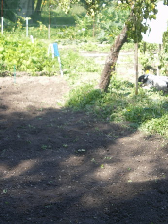 c0124619_6301141.jpg