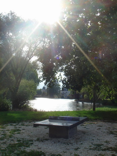 c0124619_6454535.jpg