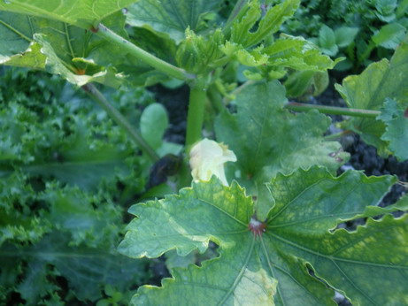 c0124619_720755.jpg