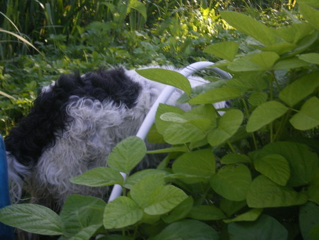 c0124619_7222168.jpg