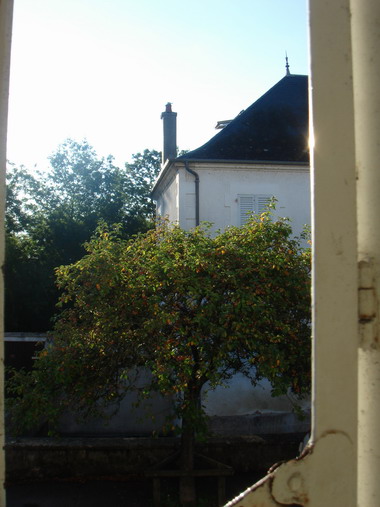 c0124619_7311629.jpg