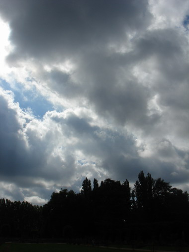 c0124619_7325595.jpg