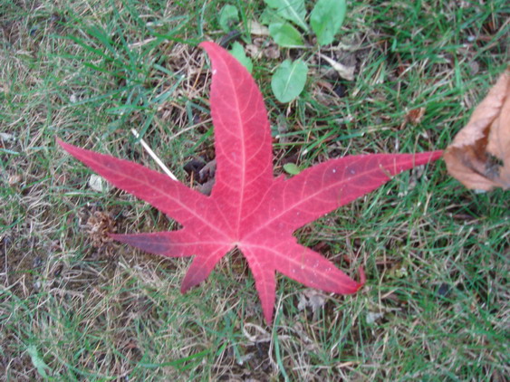 c0124619_7342888.jpg